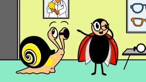 Brodaci piraci (seria Baczne oczka)